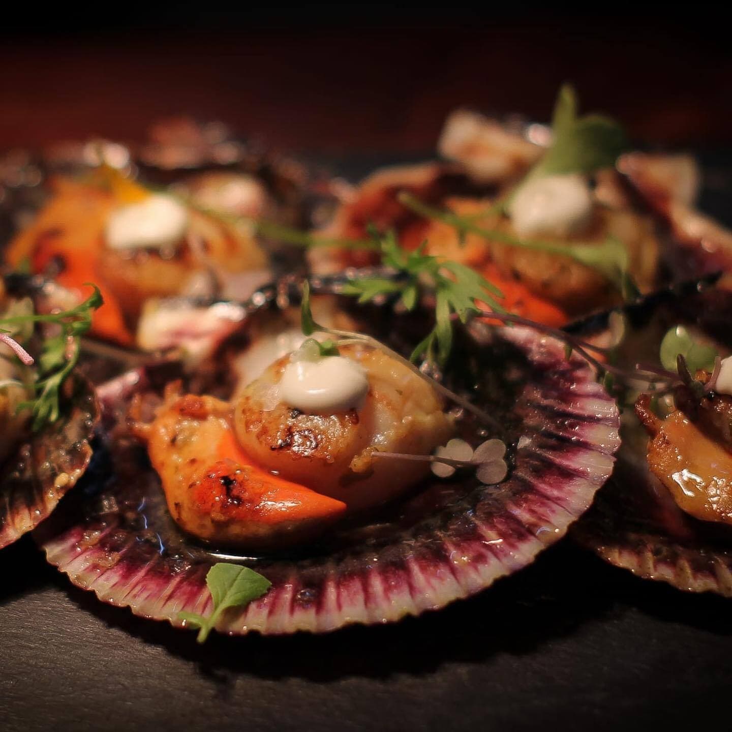 Bella Gastro en Vigo